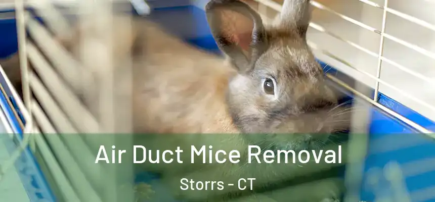  Air Duct Mice Removal Storrs - CT