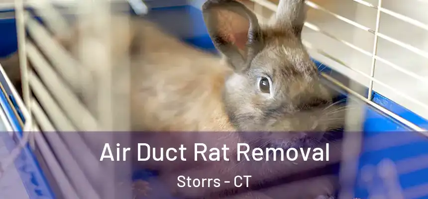 Air Duct Rat Removal Storrs - CT