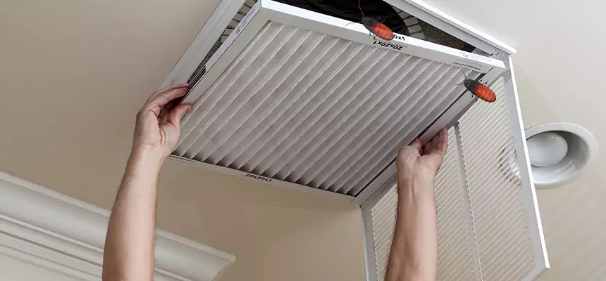 Preventive Cockroach-Proofing for Ducts in Storrs