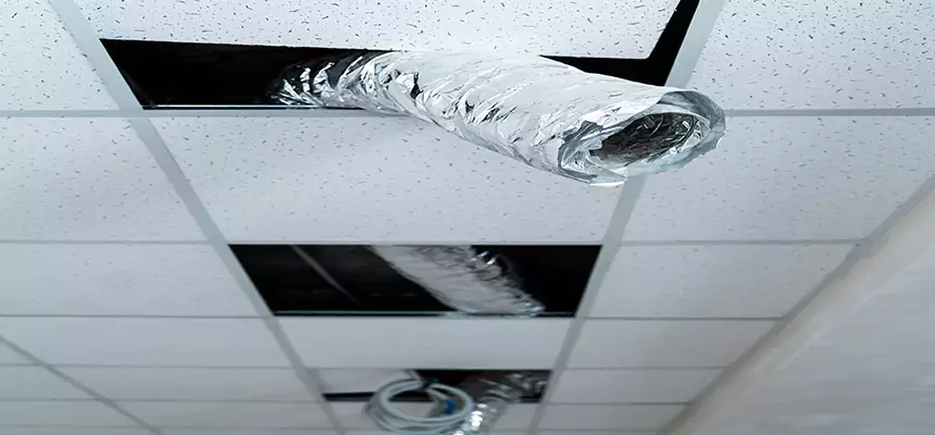 Our Air Duct Pet Hair Removal Services in Storrs, CT