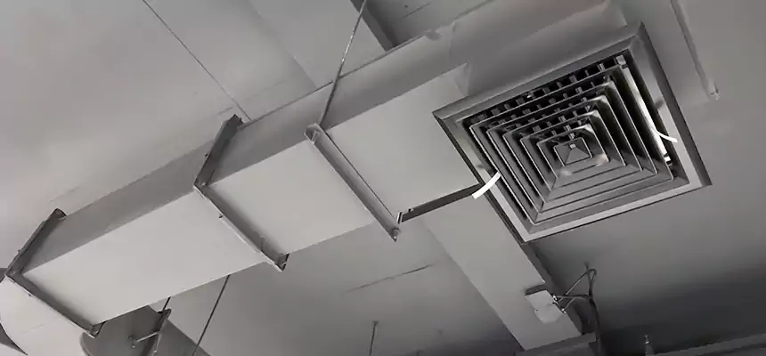 Restorative Allergy Relief Vent Cleaning – Coil, Blower & Housing Detail in Storrs