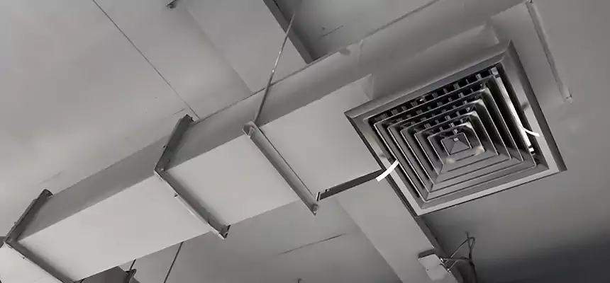 Our Rodent Droppings In Vents Services in Storrs, CT