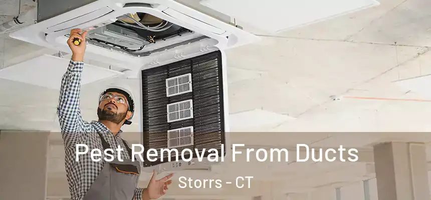  Pest Removal From Ducts Storrs - CT