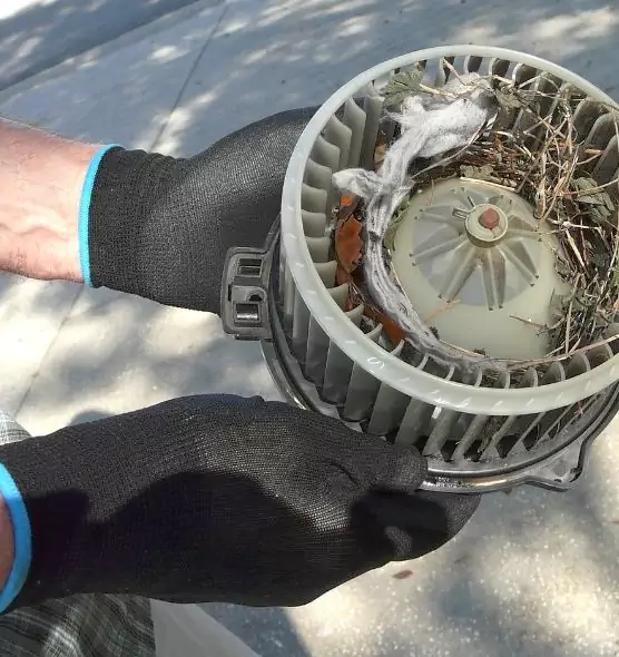 About Air Duct Rat Removal in Storrs, CT