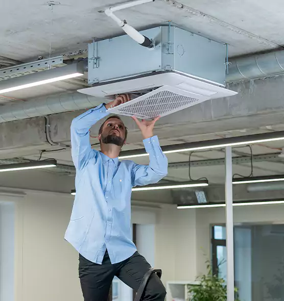 Advanced Rodent Droppings In Vents in Storrs, CT