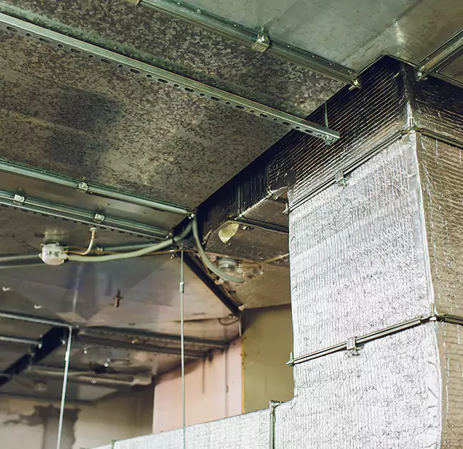 Why Homeowners & Businesses Trust Us in Storrs, CT?