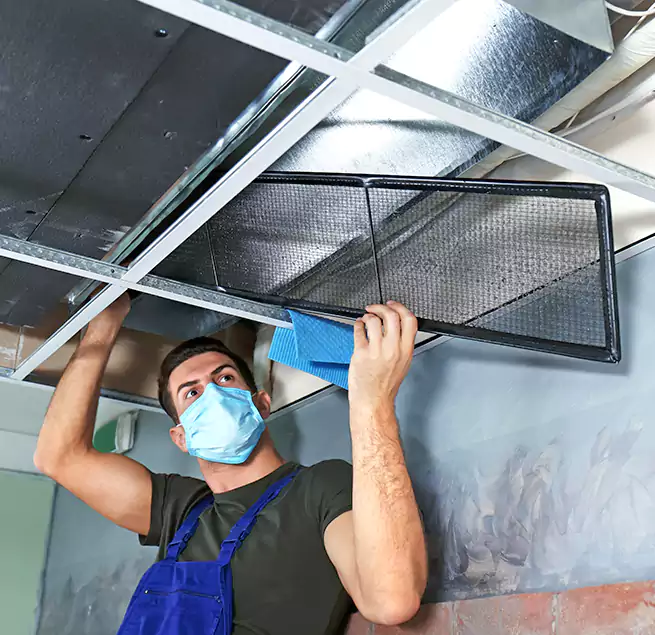 Why Homeowners Businesses Trust Us in Storrs, CT